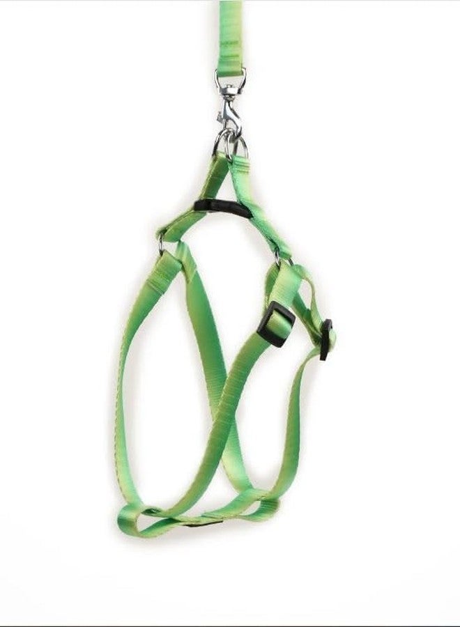 KittuPet Easy Walk No-Pull Dog Harness - The Ultimate to Help Stop Pulling Take Control & Teach Better Leash Manners Helps Prevent Pets on Walks Large, 1 Pcs (Green) - Image 1